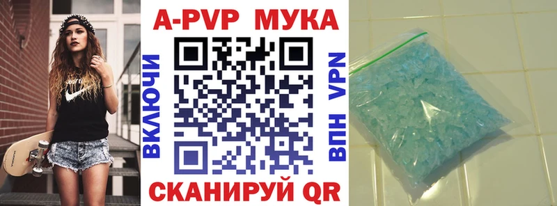 Альфа ПВП СК  Кадников 