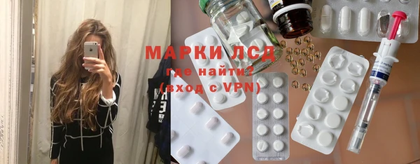 дживик Инта