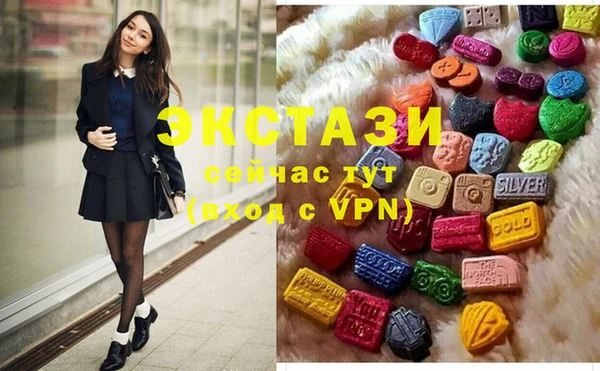 дживик Инта