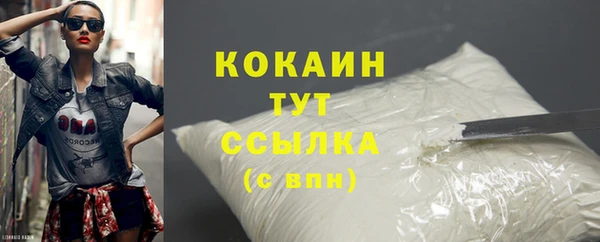 дживик Инта