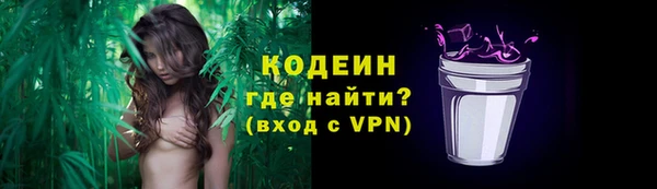дживик Инта
