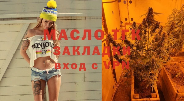 дживик Инта