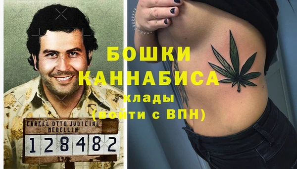 дживик Инта