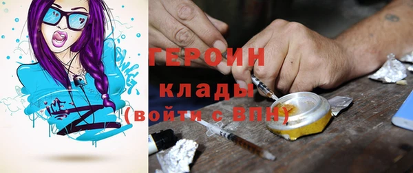 дживик Инта