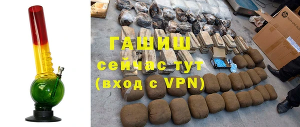 дживик Инта
