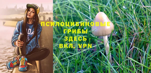герыч Инсар