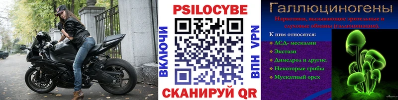 Псилоцибиновые грибы MAGIC MUSHROOMS  Кадников 